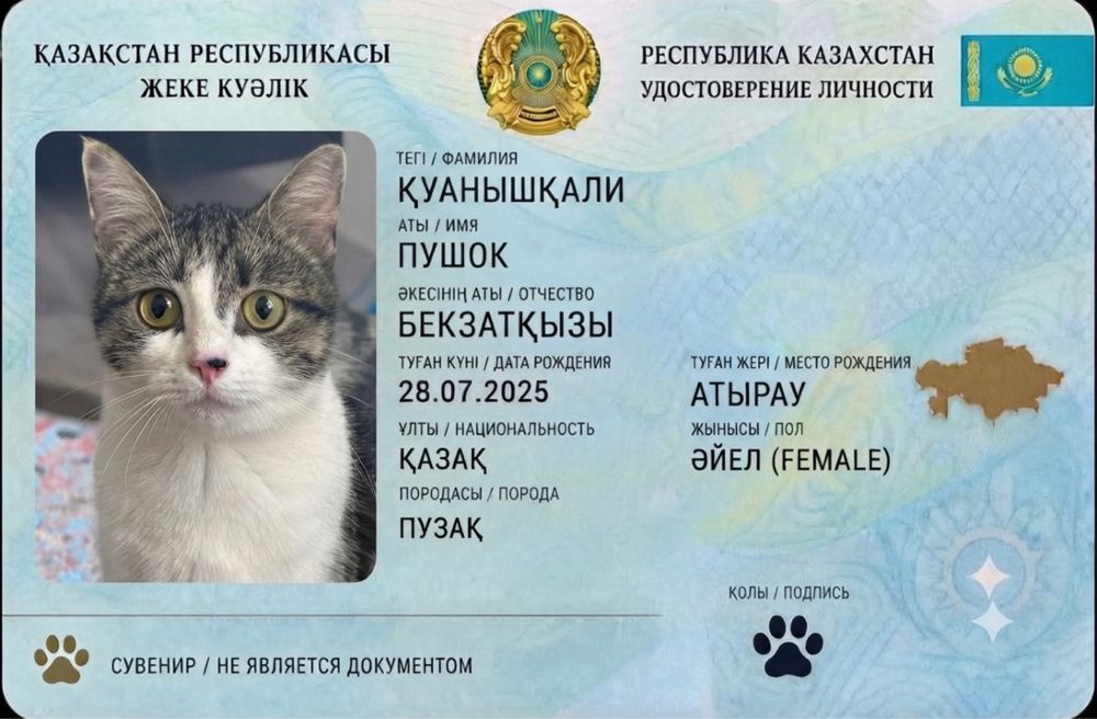 Бесплато пушоккк