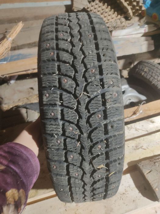 Зимний шиповника балон