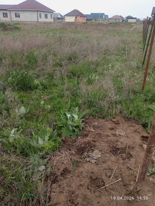 Жер сатамын 6 соттык