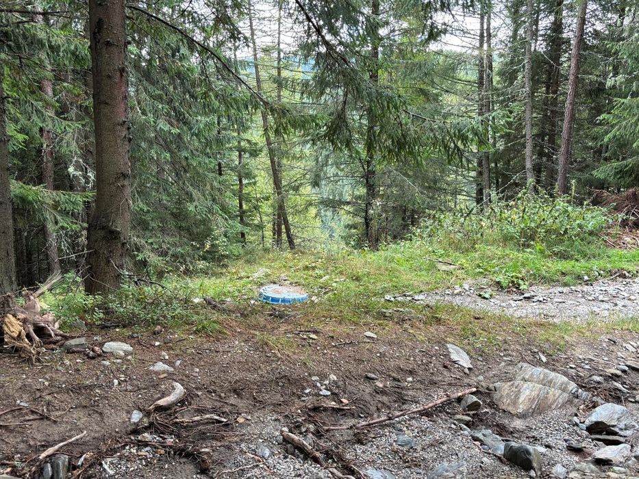 Teren de vanzare - 1500 mp in Statiunea Muntele Baisorii (CJ)