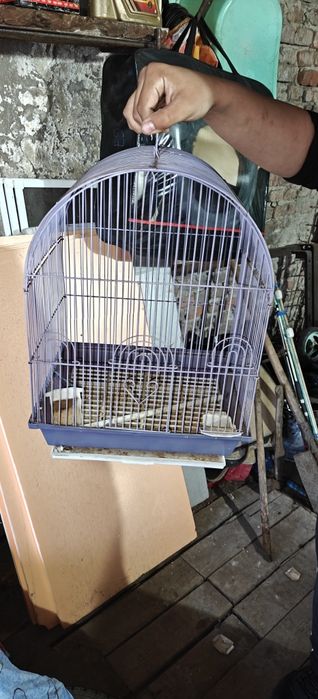 Продаю клетку для попугая