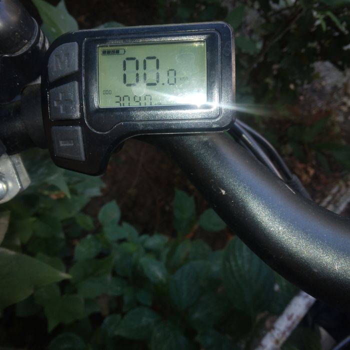 Bicicleta electrică Classywalk
