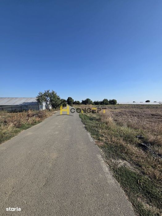 Teren 7 euro mp str asfaltata langa padure Colibasi Campurelu