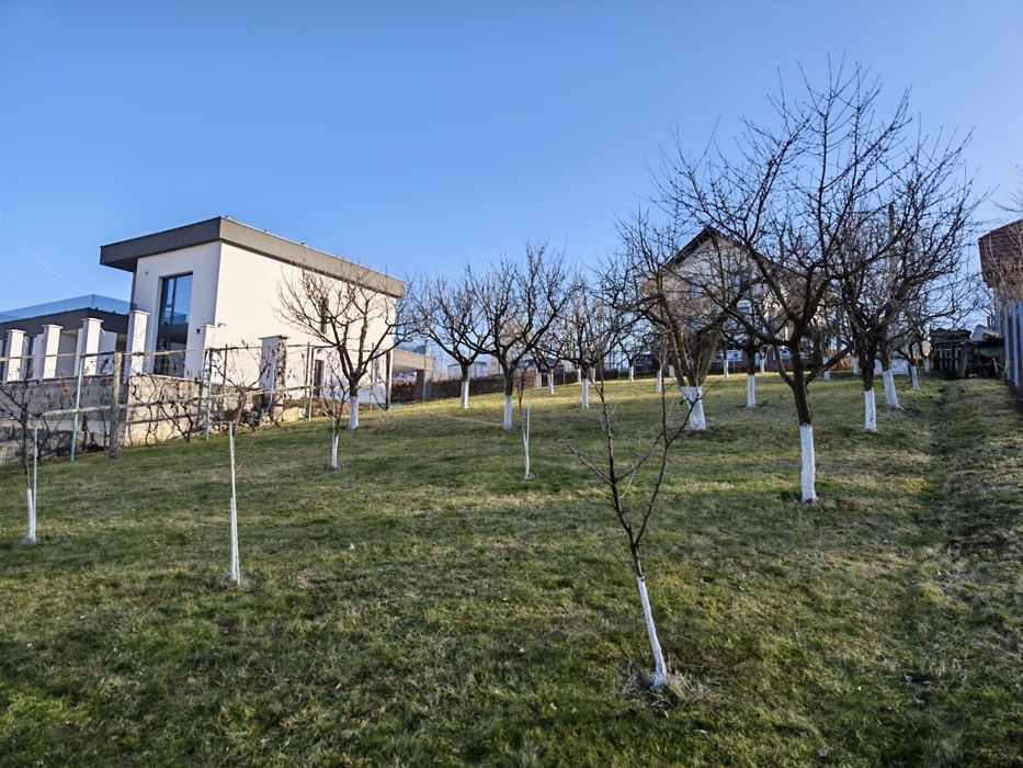 85.800 €, Teren în LIVEZENI, 780 MP, str Pădurii, 110  €/MP