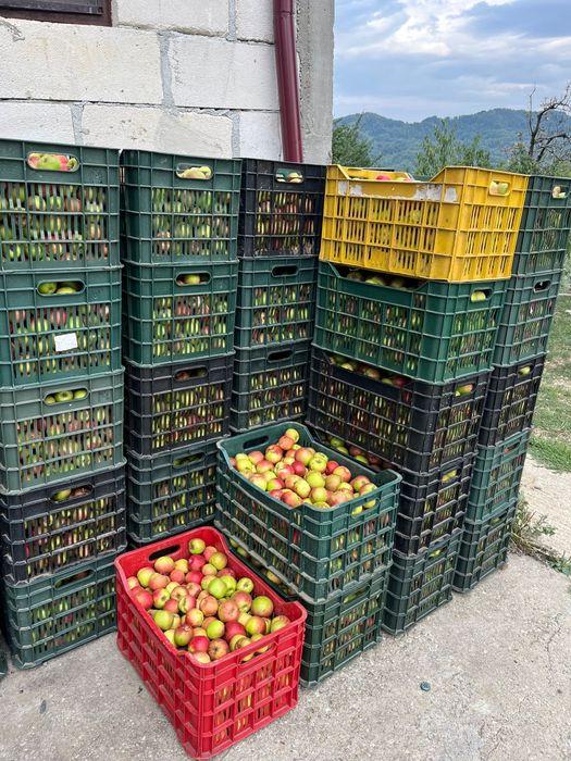 Mere pentru industrie