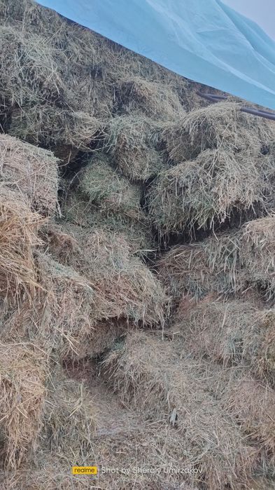 Шөп Сатылады. Бағасы 1600теңге