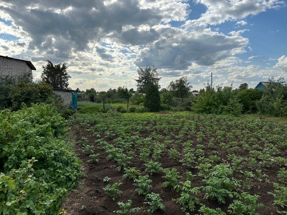 Продам дачу в садоводстве Здоровье