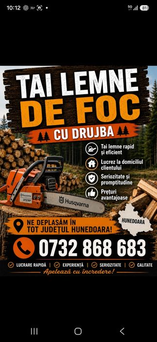 Tai lemne de foc cu drujba-cosesc cu motocositoare-sap spații mici cu motosapa