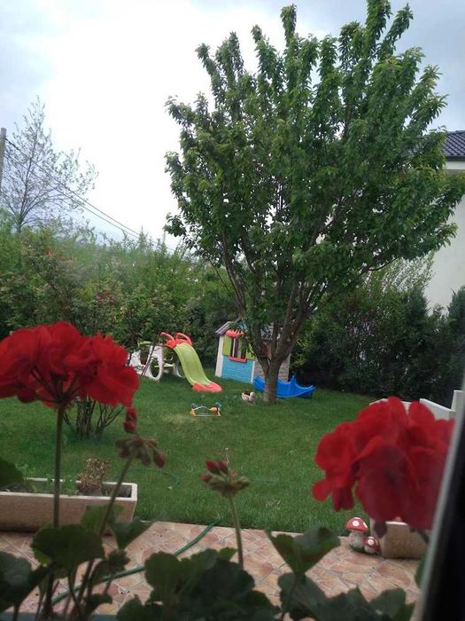 Casă individuală de vanzare - CENTRU Dezmir - (direct proprietar) , CLUJ