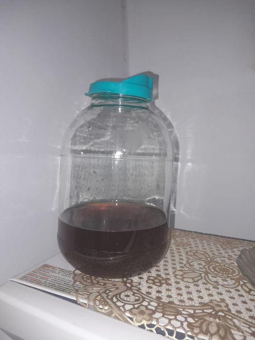 Чайный гриб  продам
