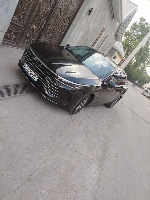 BYD CHAZOR     2024