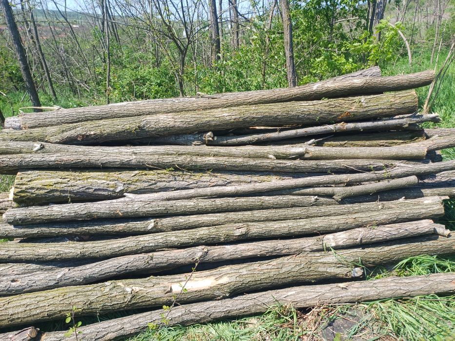 Vand Stâlpi salcâm.