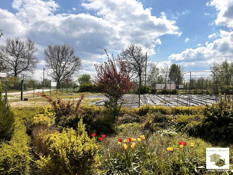 150026 Едноетажна къща с голям двор и разсадник в с. Горна Студена