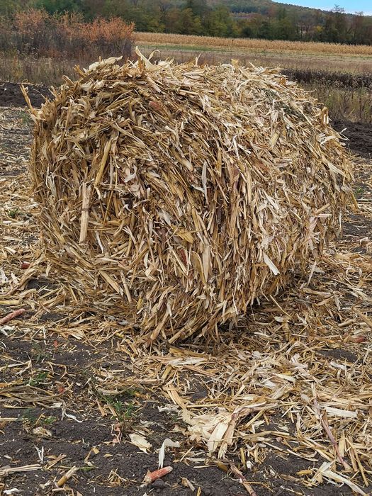 Vând baloți -tocătură din paie de porumb