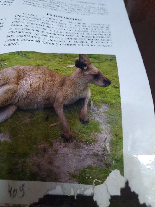 Журнал "Я познаю мир"