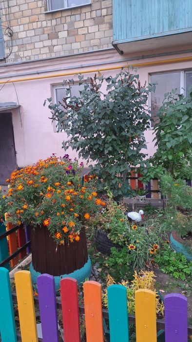 Квартира трех комнатная