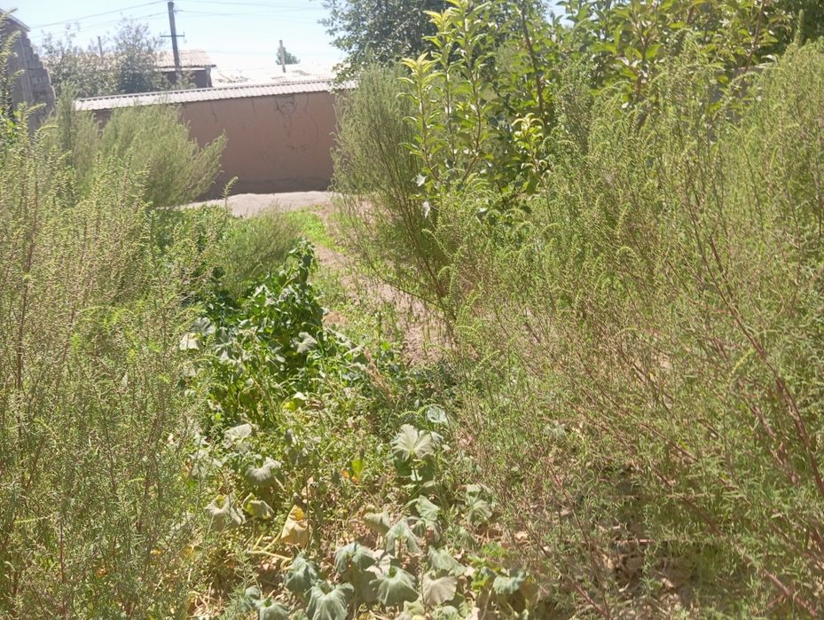 1 сотиги 12000$ 3 сотик яна келишамиз