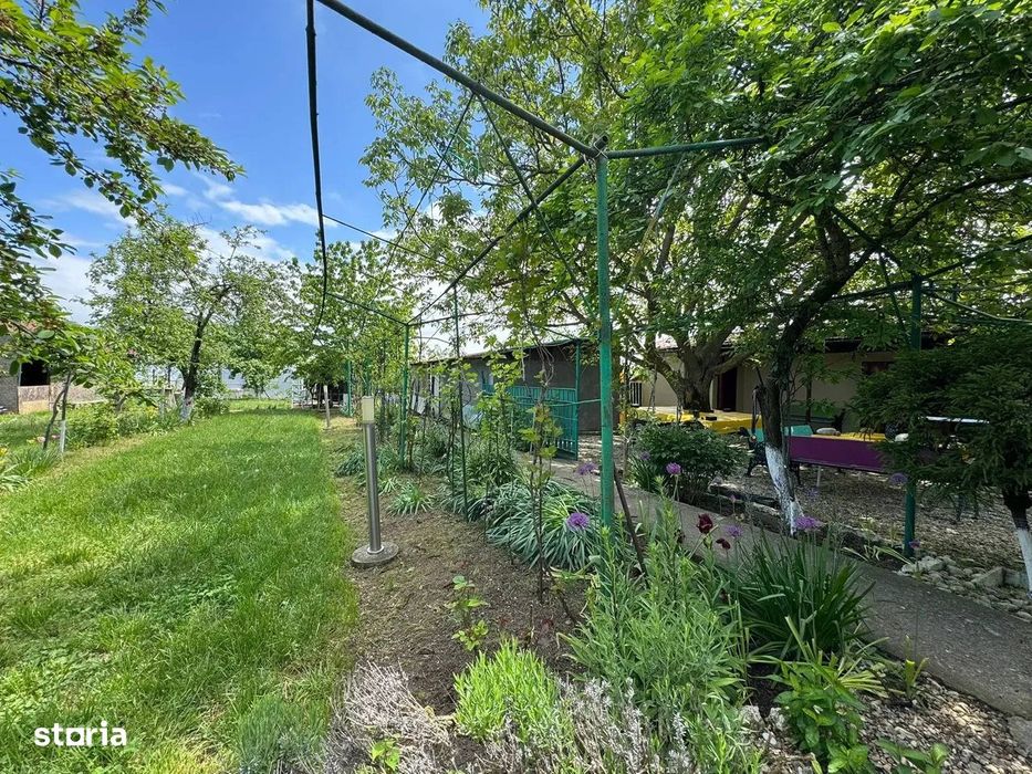 Casa cu 4000 mp teren, Letca Noua, Giurgiu — 40 min de București