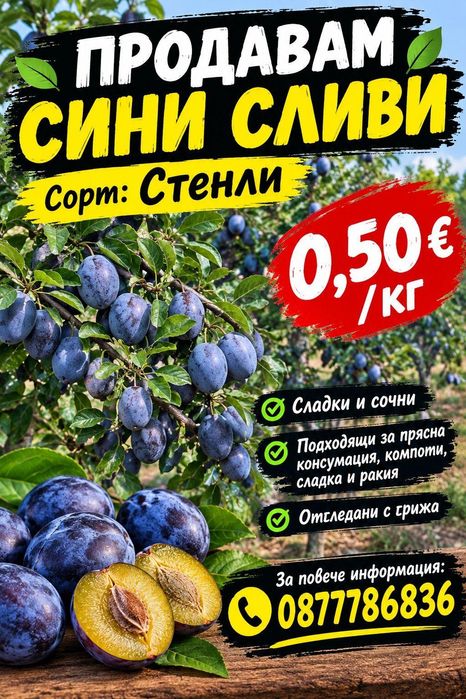 Сини Сливи Стенли