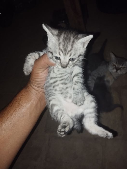 Lida bilan rus porno