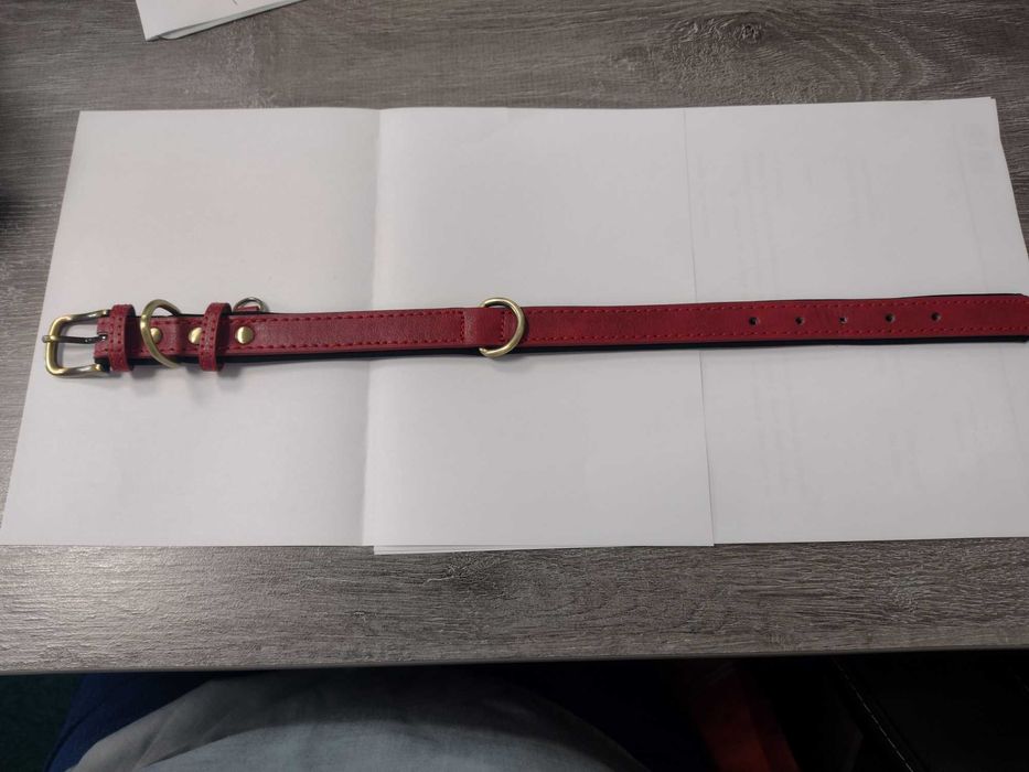 Zgarda câine, piele, culoare roșie, 40 cm (nouă)