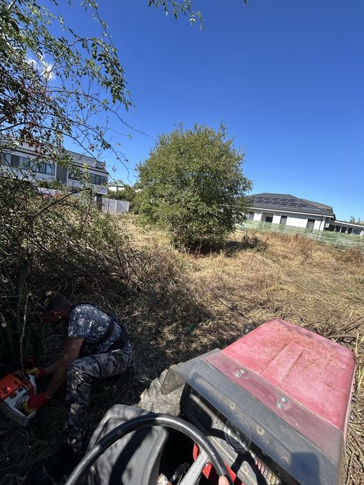 Cosire,curatare iarba-vegetatie