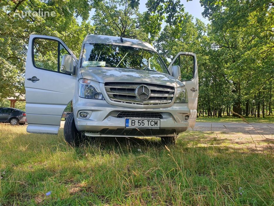 Vand Mercedes Sprinter  519 VIP