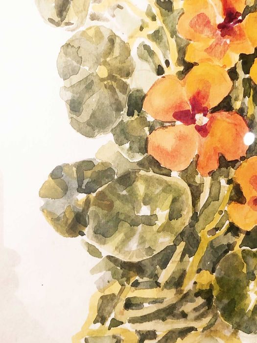 Acuarelă originală de Edit Petrivna Reprinzeva, Thunbergia