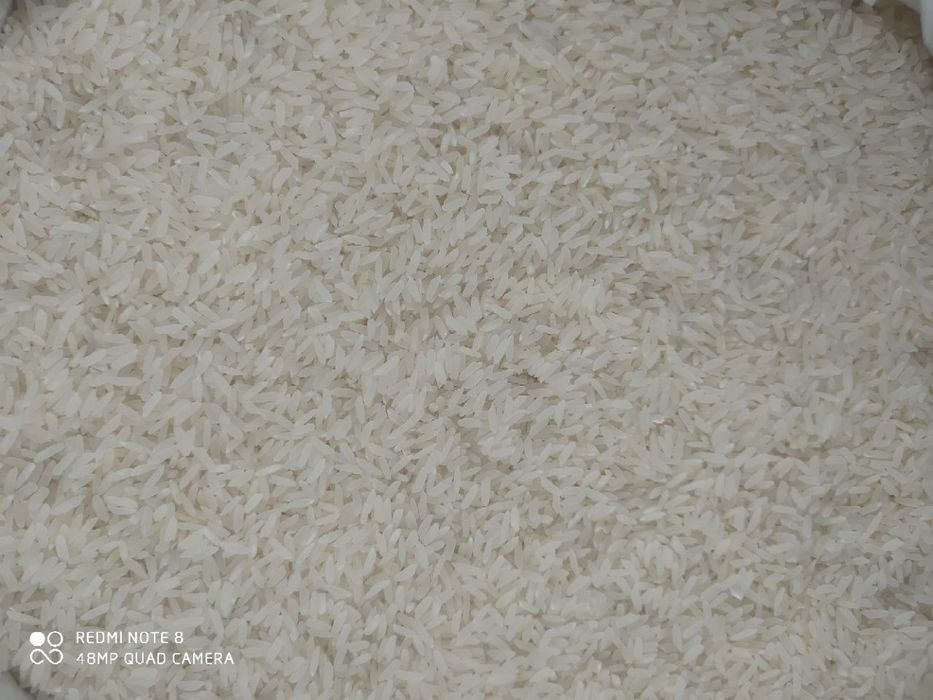 Guruch,Lazer,рис,гуруч,груч