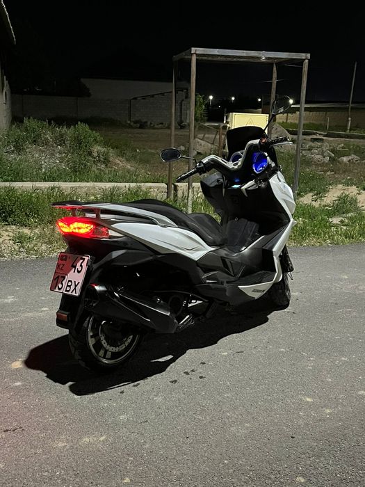 Туркестан мапед N макс