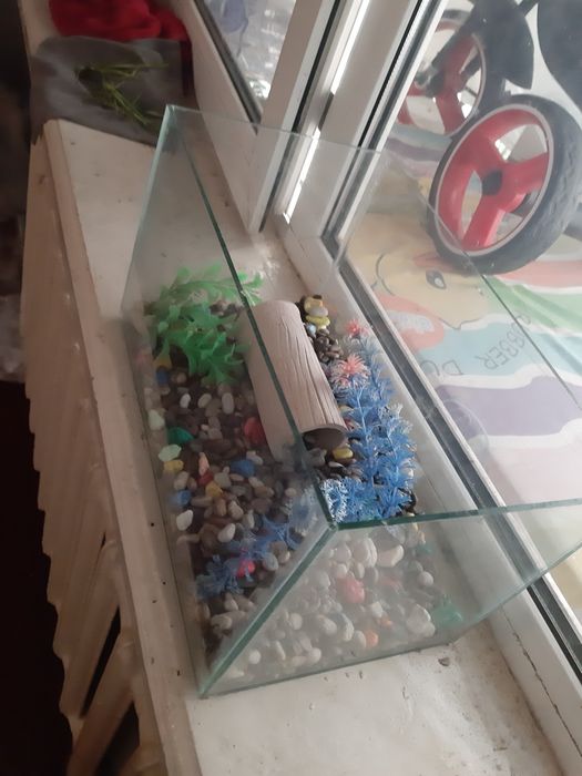 Sifatli akvaryum sotiladi 20x20
