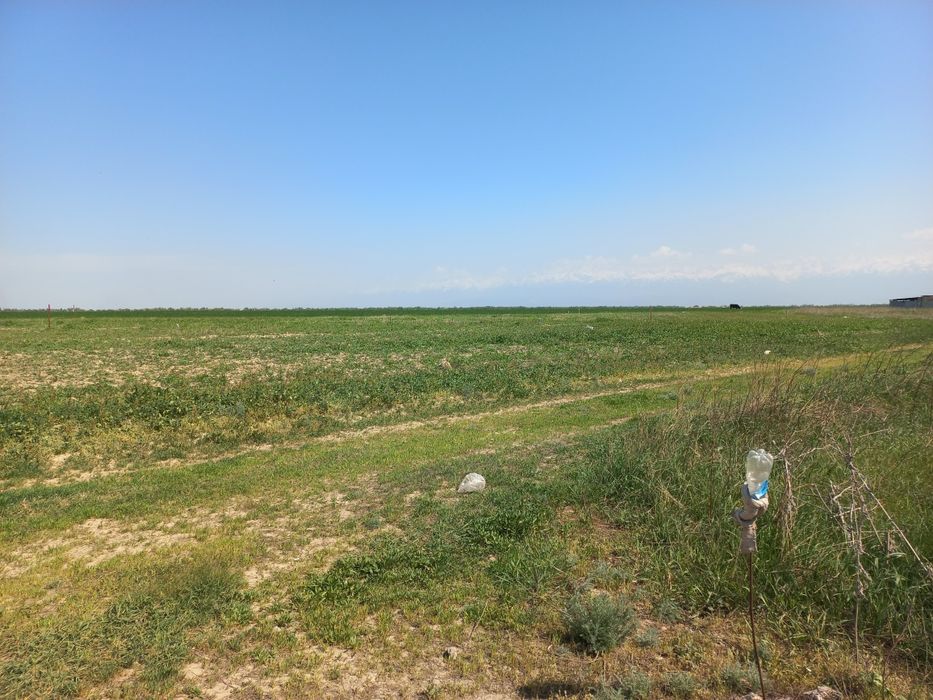 Исаево ! Участок ! Жер !