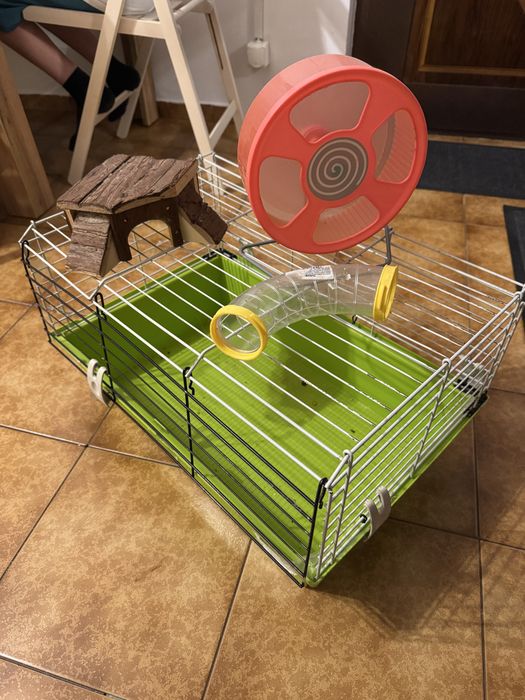 Cusca Porc Guineea sau Hamster