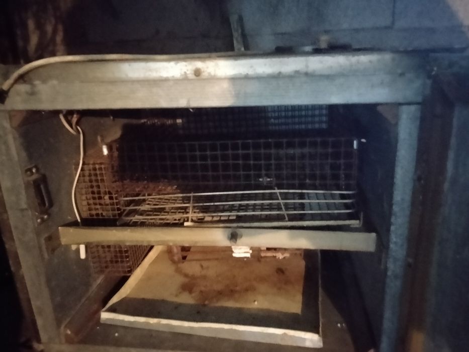 Прода  инкубатор