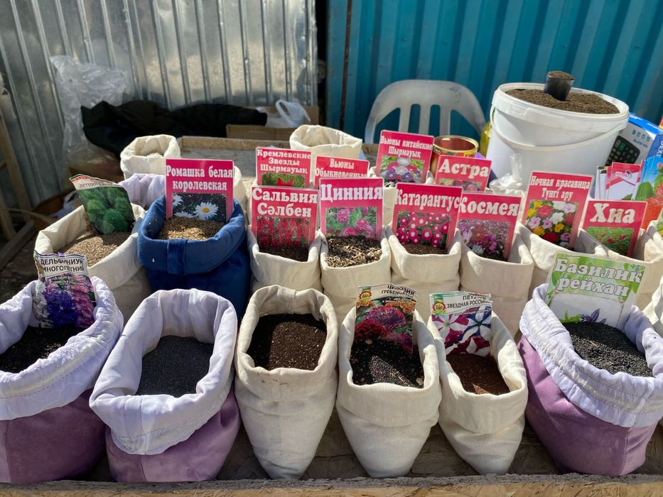 Семена Разного Вида Все Сорты имеются