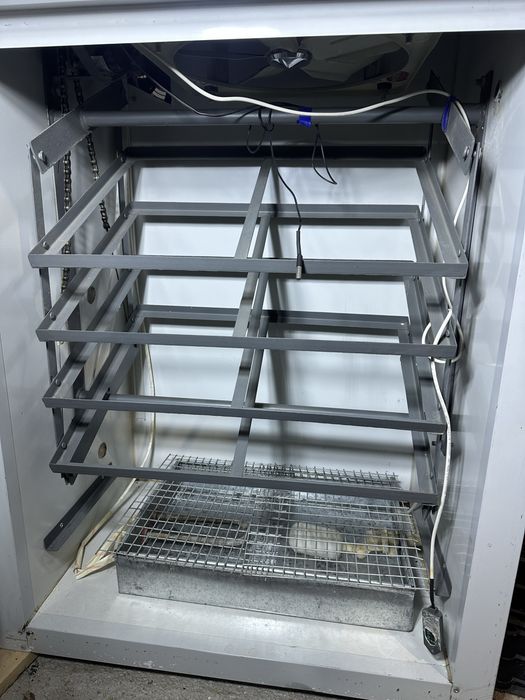 Станок Инкубатор Тауық и Бөдене