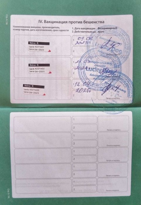 Кабель ротвейлер для вязки