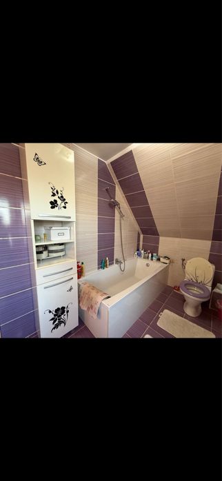 Cada cersanit mare in stare buna