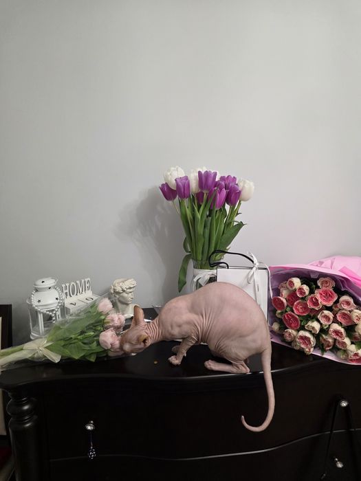 Кроссовки спортивные детские