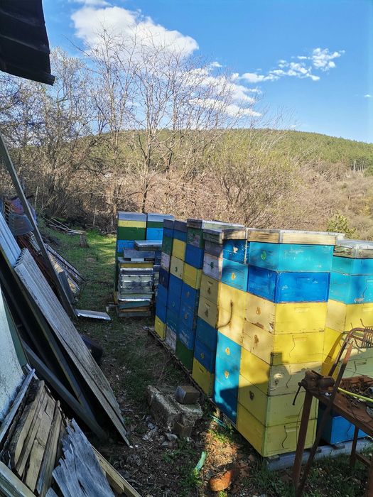 Пчелни  многокорпусни кошери