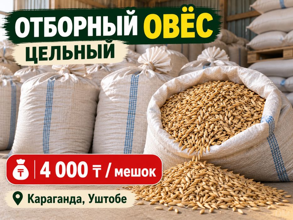 Овёс цельный отборный кормовой в мешках — Караганда, Уштобе
