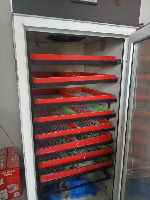 Инкубатор 2000 та тухумга мўлжалланган