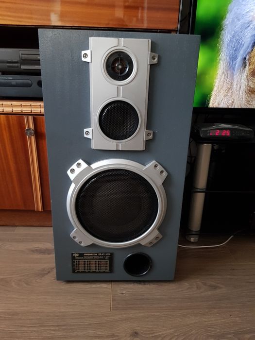 Акустическая система