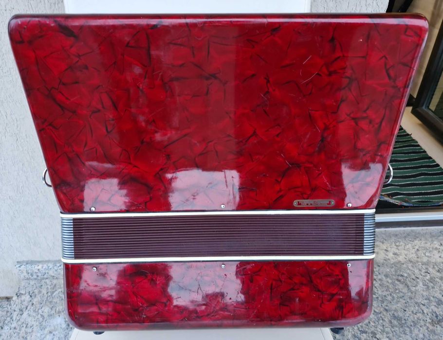 Acordeon Parrot  96 basi roau