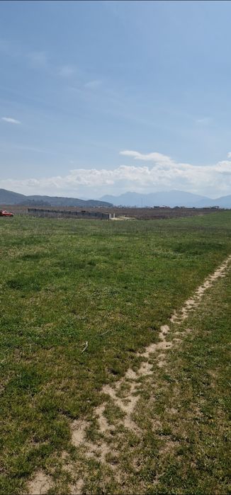 Teren intravilan Bod 20000mp