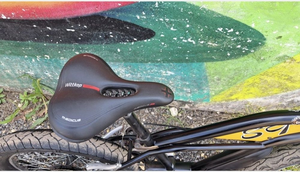 24" Bicicleta Cruser The Wild Things/ Die Wilden Kerle