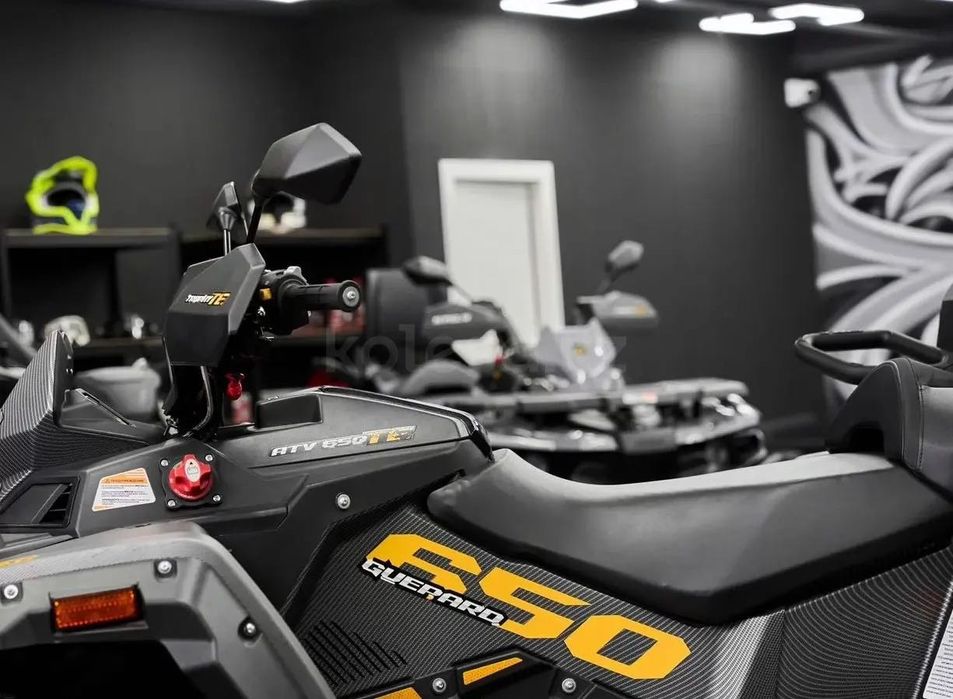 Stels ATV 650 (TE) Guepard 2.0 К01 GN