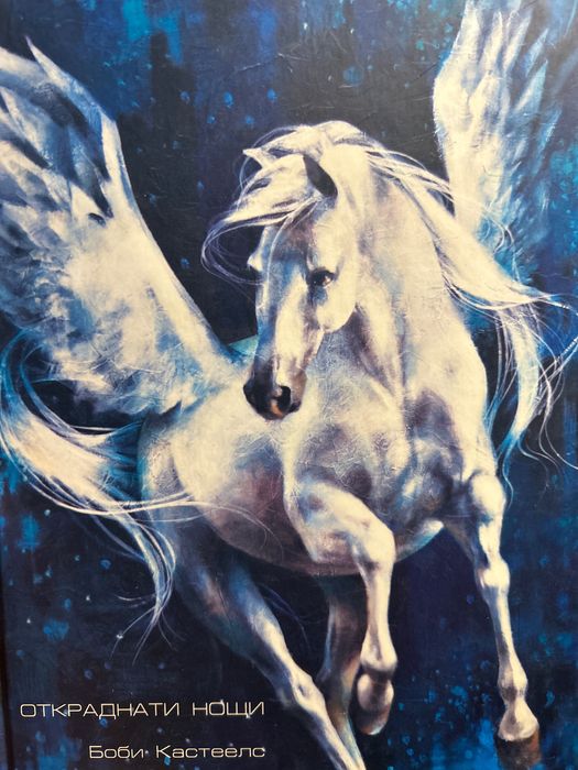 Книга “Откраднати нощи”