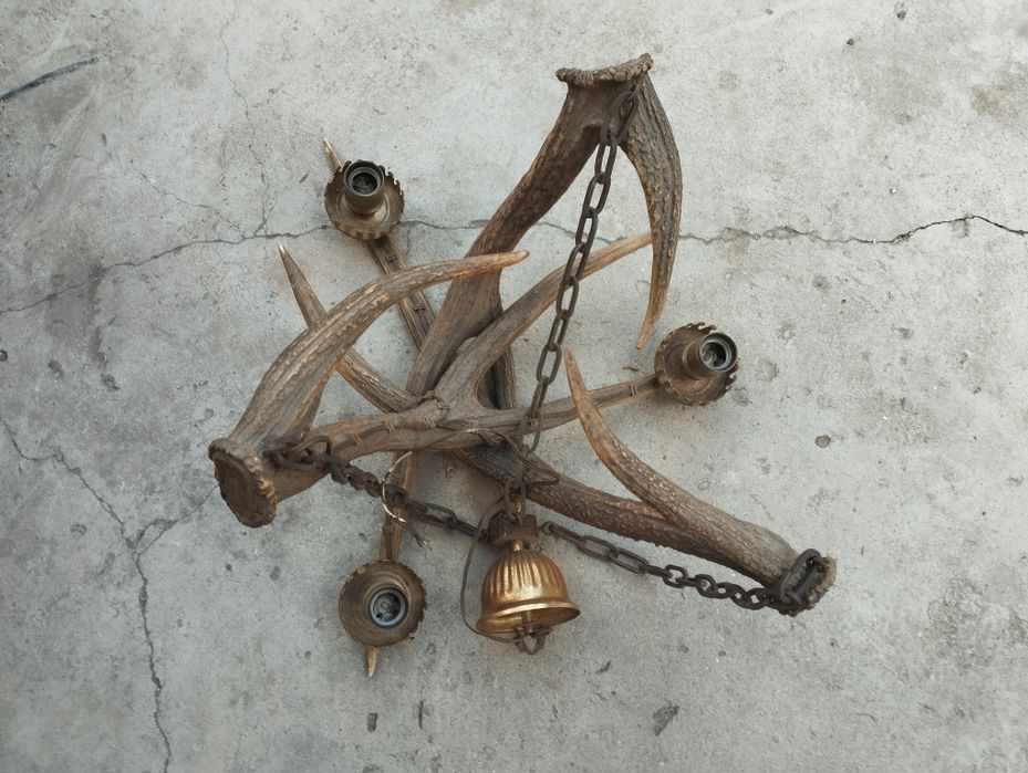 Стар полилей от 3 еленови рога