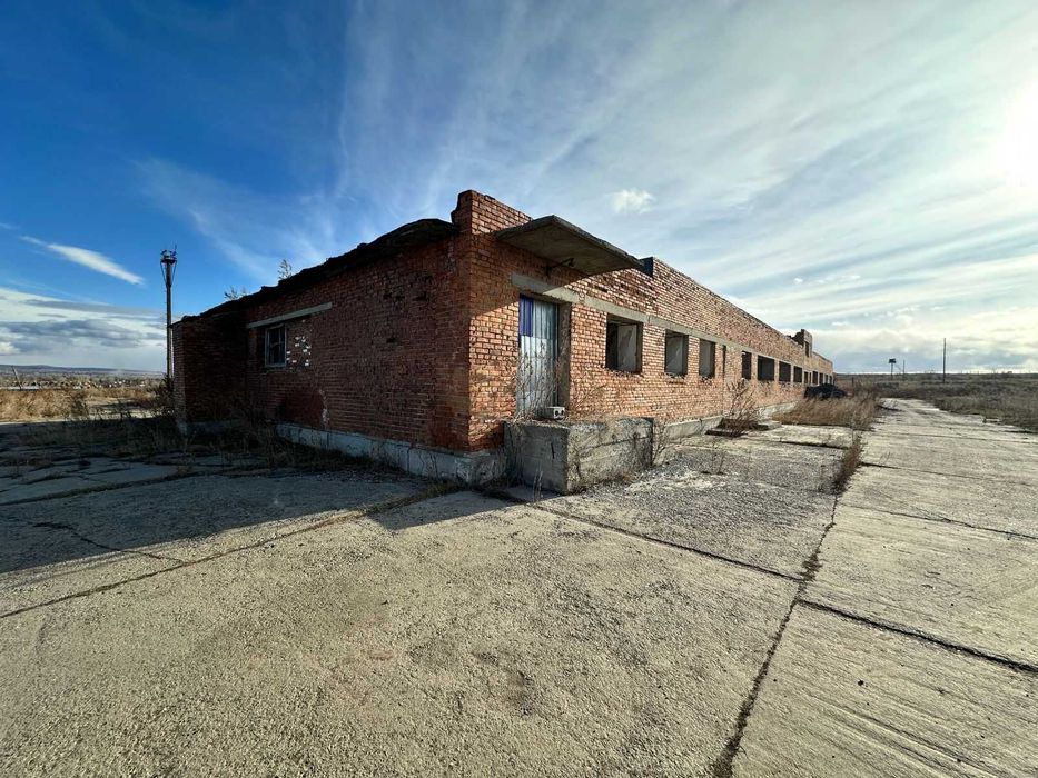 В продаже База новоявленка Алаш 1